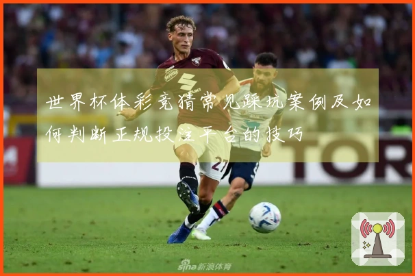 世界杯体彩竞猜常见踩坑案例及如何判断正规投注平台的技巧