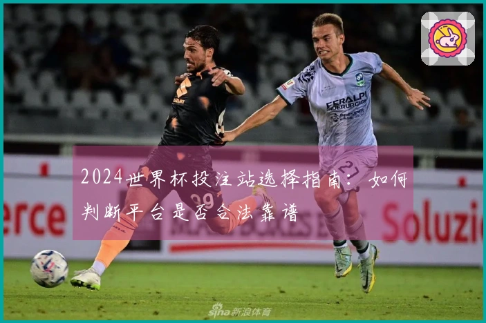 2024世界杯投注站选择指南：如何判断平台是否合法靠谱